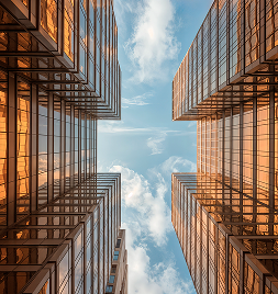 real_estate_developer_holm